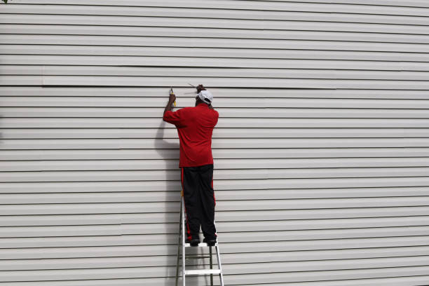 Affordable Siding Repair and Maintenance Services in River Rouge, MI